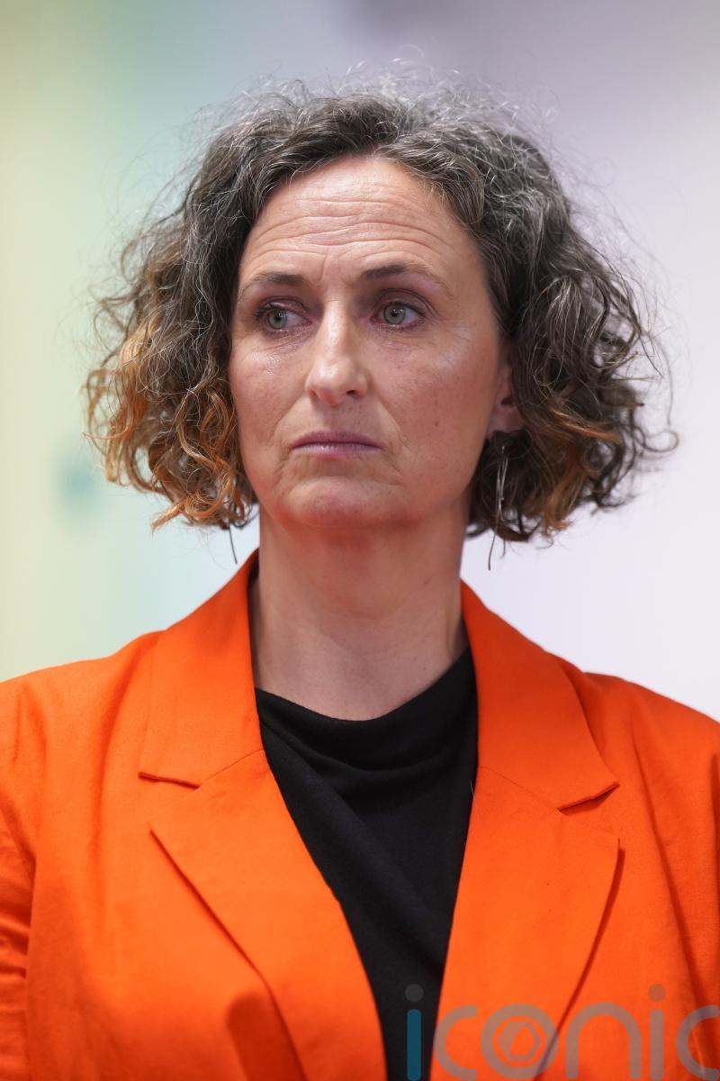 Opposition TDs urge removal of Israeli flag from Leinster House