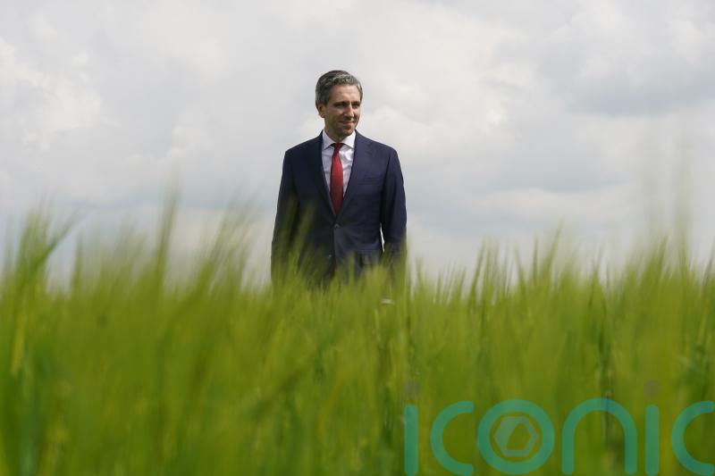 Latest climate data ‘smashes myth you can’t grow economy and reduce emissions’