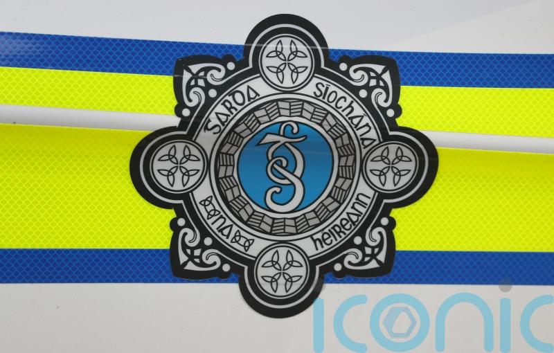 Sixteen people to appear before court after gardai attacked in Cork