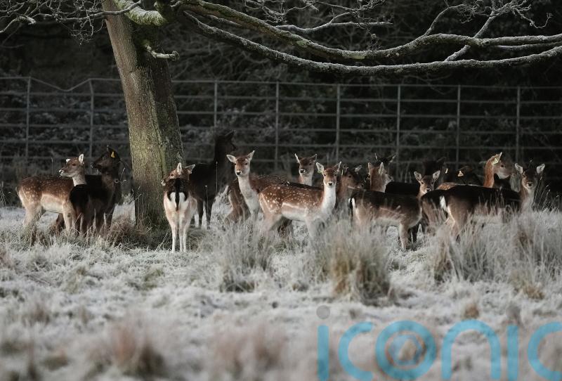 Emergency team meeting as country braces for ‘multi-hazard weather event’