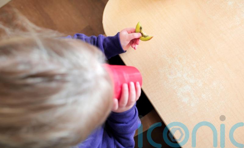 Protect nutrition for children during emergencies – cross-border report