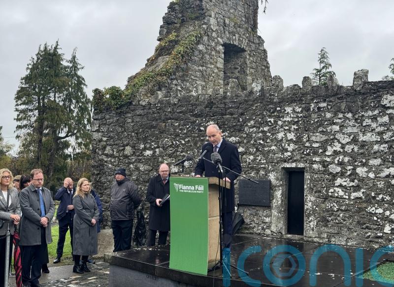 Some flying Irish tricolour dishonour our national flag, Taoiseach says