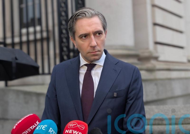 Too many offenders given short sentences for &lsquo;heinous crimes&rsquo;, Tanaiste says