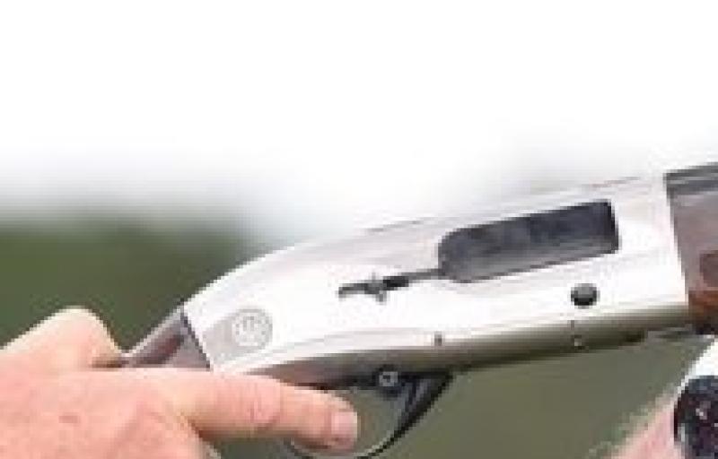 Guns stolen in Midlands burglary