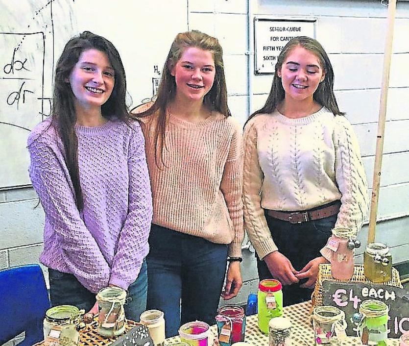 Craft sellers at Mountrath CS Christmas Fair
