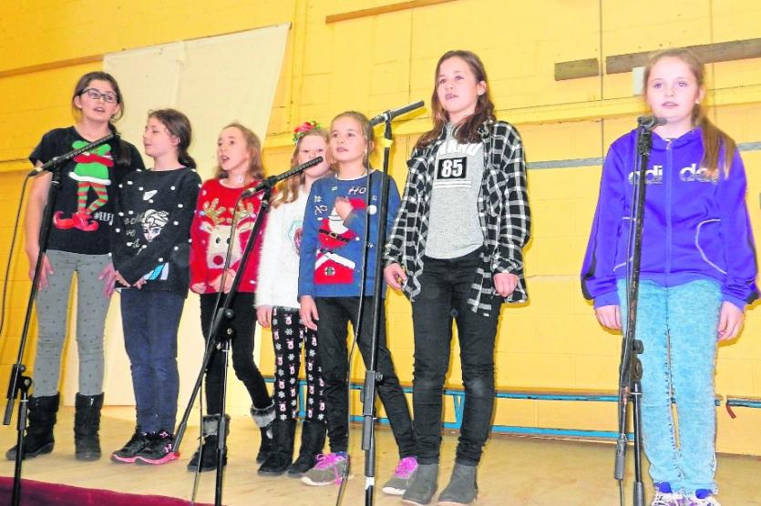 'Curtain Call' performers at Scoil Mhuire Abbeyleix Christmas show
