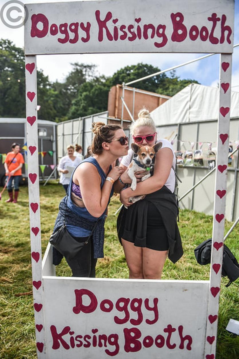 Ownership of photo: Electric Picnic 