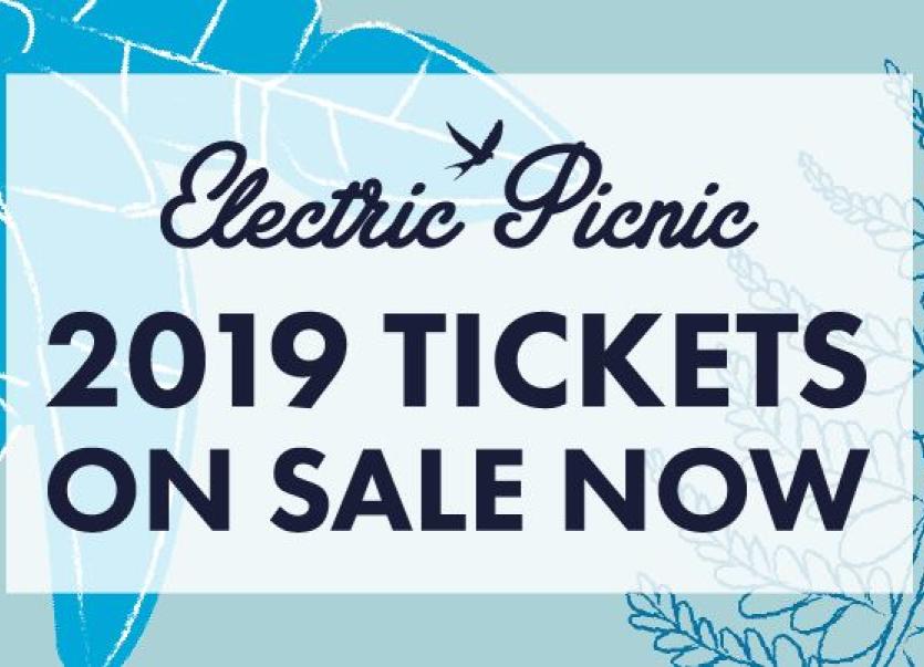 Electric Picnic 2019 tickets are on sale now Leinster Express