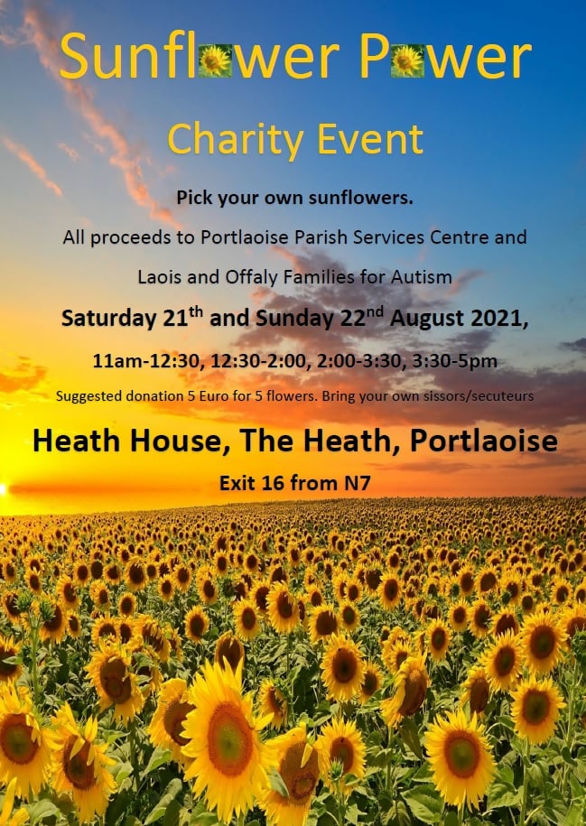 Pick your own sunflowers for Autism charity and Portlaoise parish
